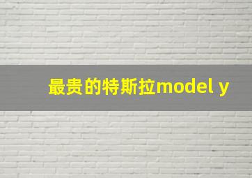 最贵的特斯拉model y